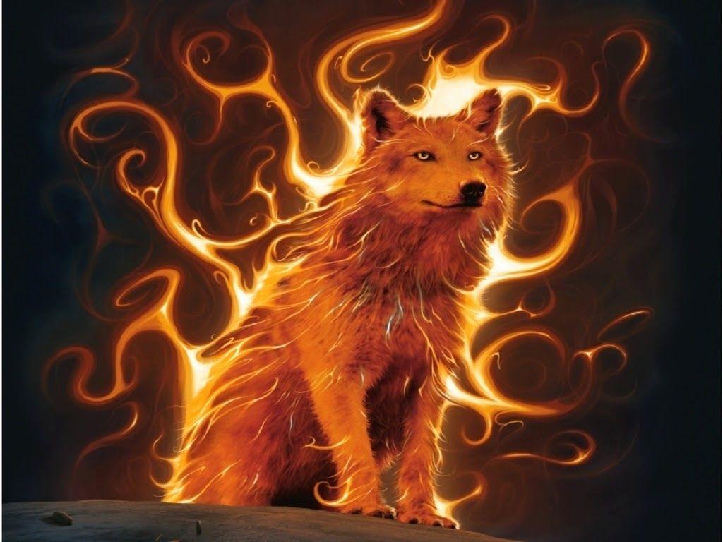 Hình nền chó sói lửa 1024x768 Hình nền độc đáo Hình nền lửa Tuần này