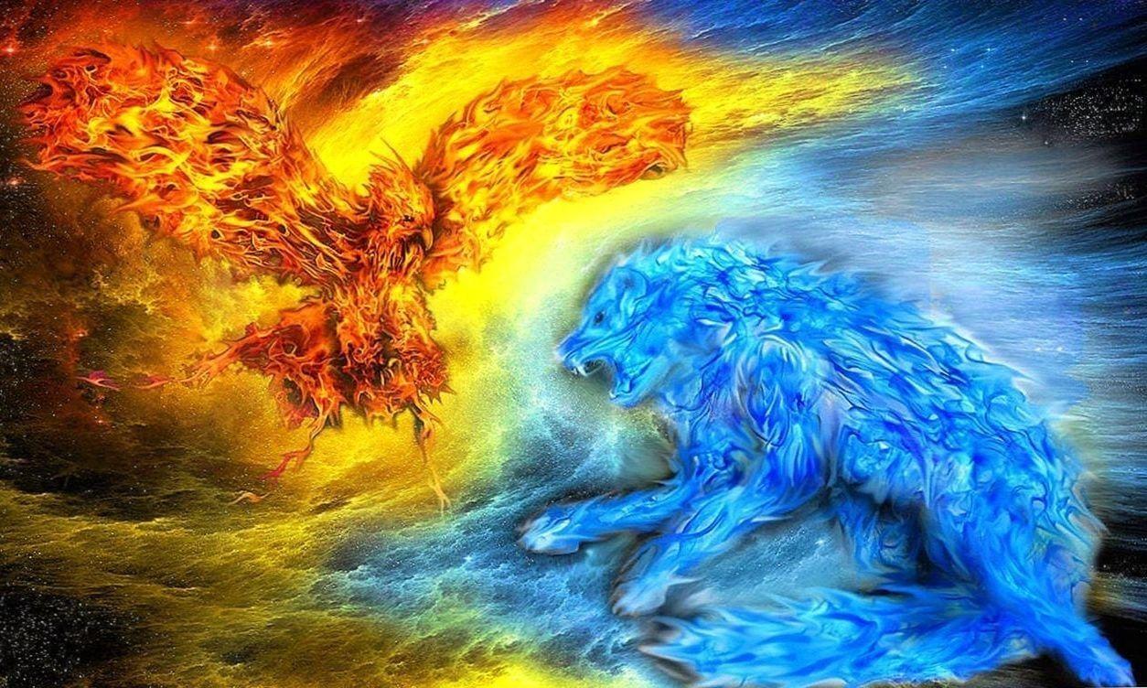 Water and Fire Wolf Wallpapers - Top Free Water and Fire Wolf Backgrounds -  WallpaperAccess