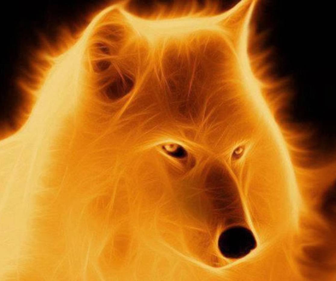 1115x932 fire wolf wallpaper
