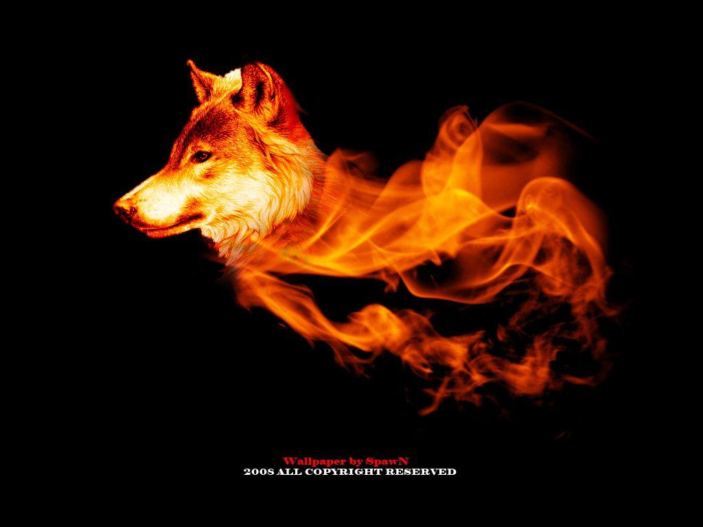 1024x768 Free download Fire Wolf Wallpaper