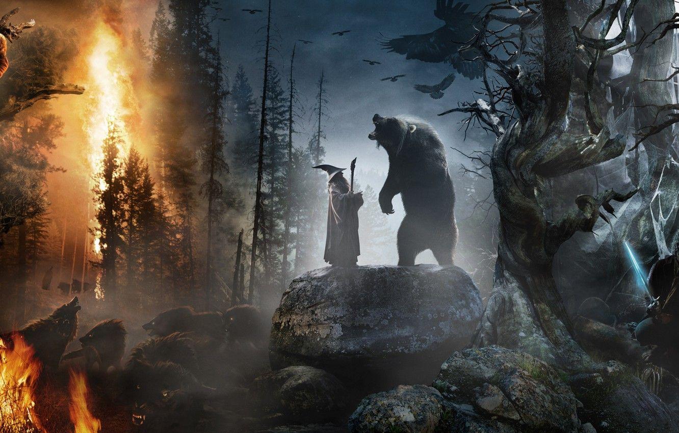 1332x850 Wallpaper forest, stones, animals, fire, fire, collage, sword, hat