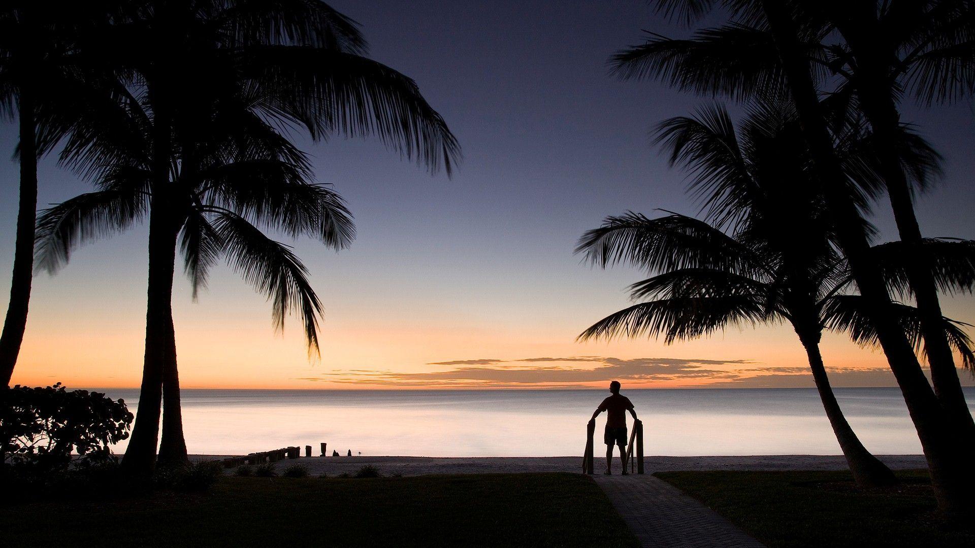 1920x1080 Night Beach High Quality Wallpaper HD Wallpaper 1920x1080 px