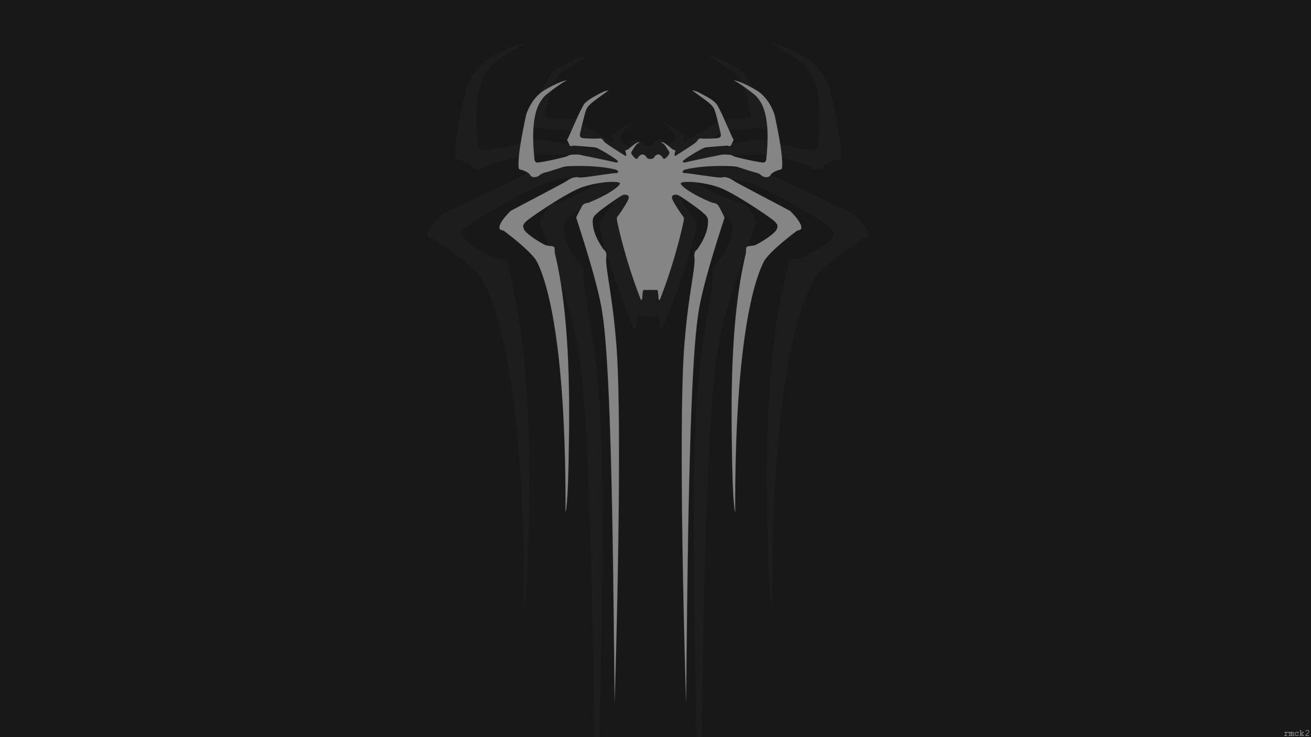 Black and White Spider-Man Wallpapers - Top Free Black and White Spider