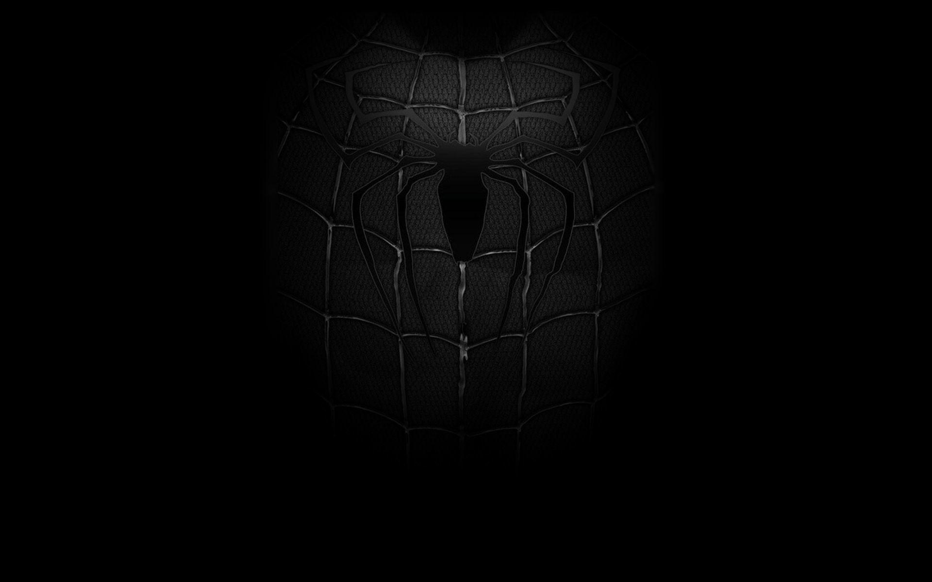 Black and White Spider-Man Wallpapers - Top Free Black and White Spider