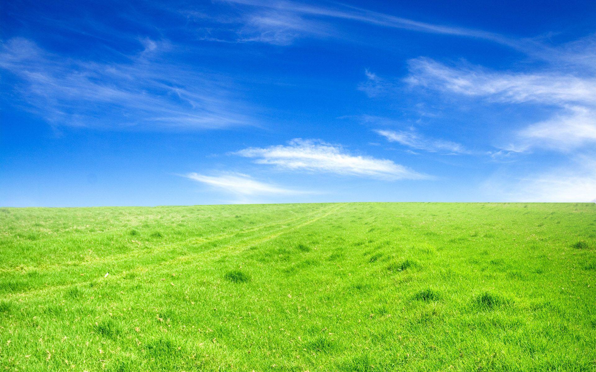 Farm Land Wallpaper 4K, Green Fields, Purple sky, #4476