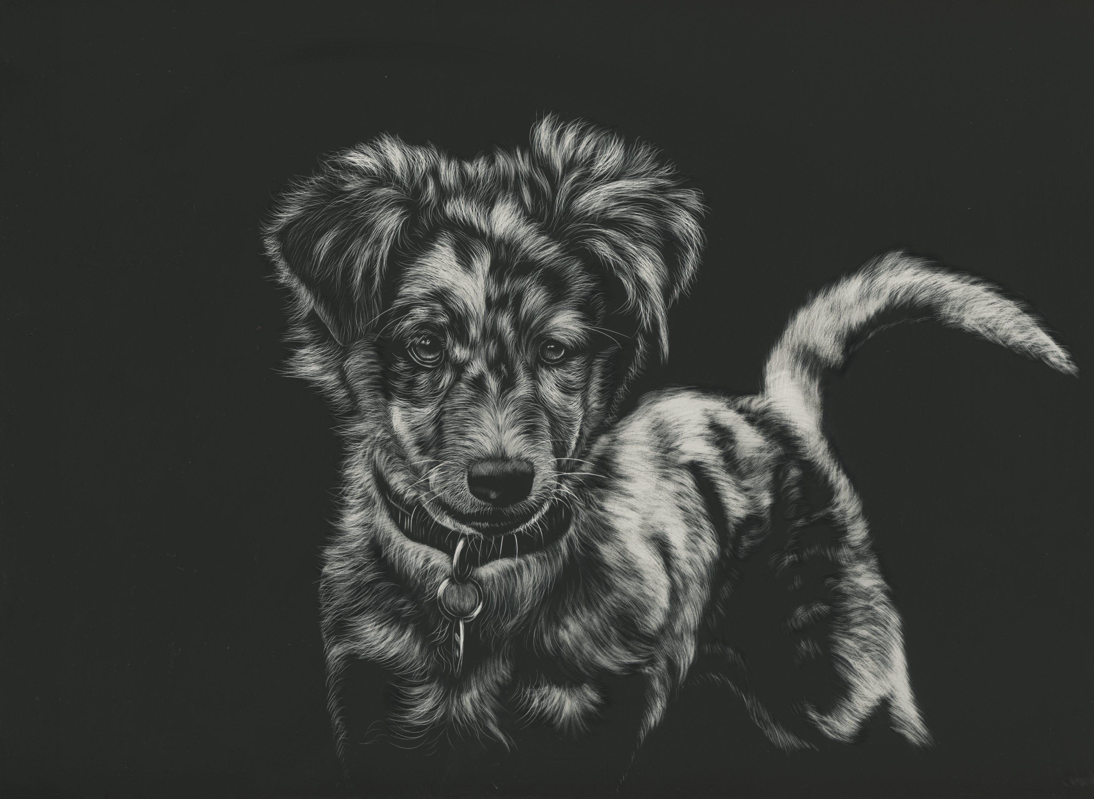 3479x2542 image Dogs Black and white Animals Painting Art Black background