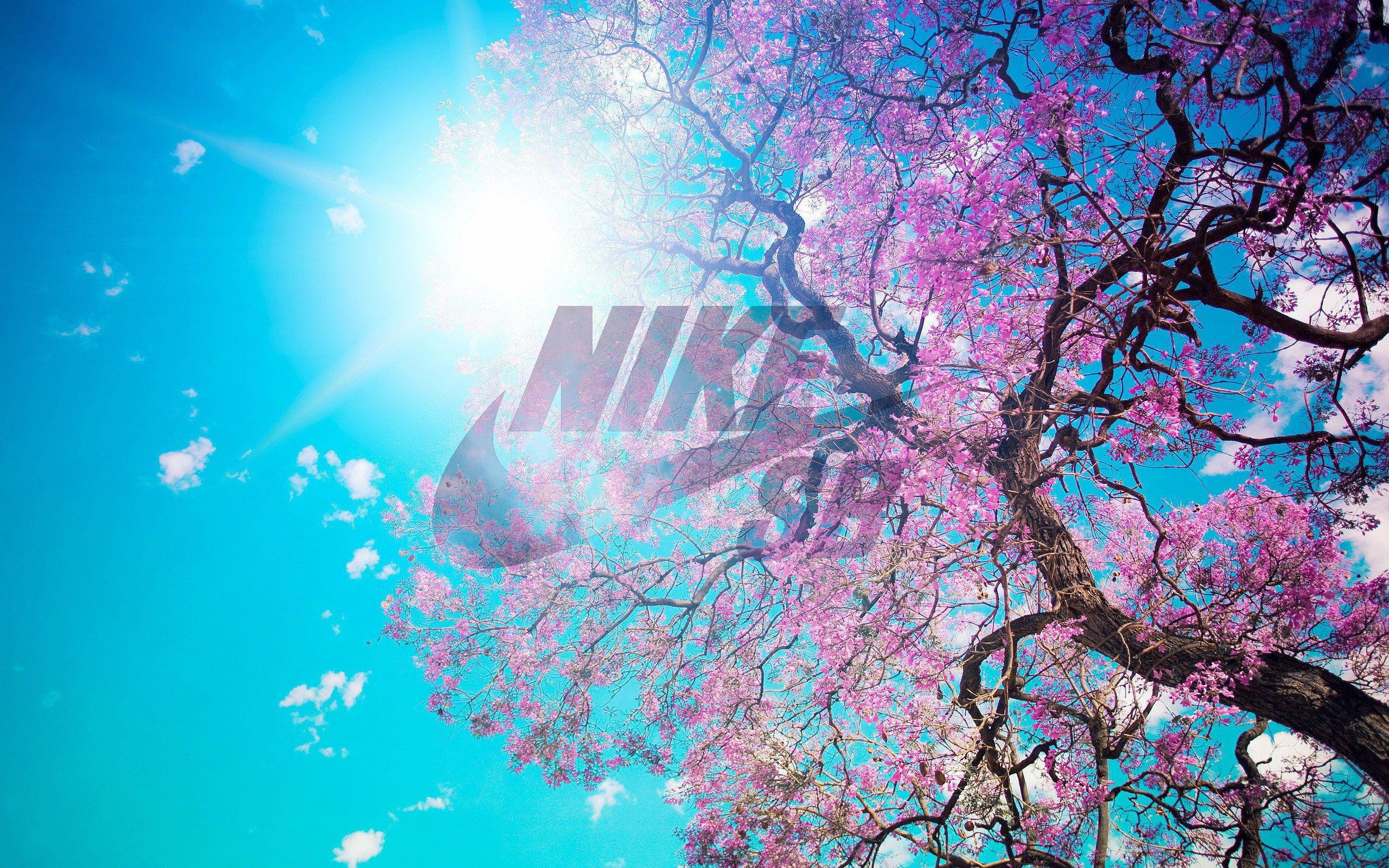 2560x1600 Nike Sb Wallpaper