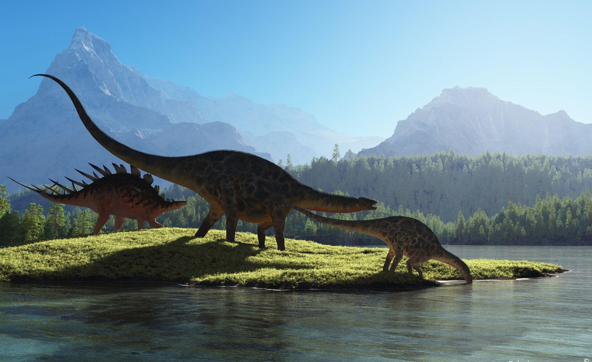 1920x1174 Dinosaur Wallpaper