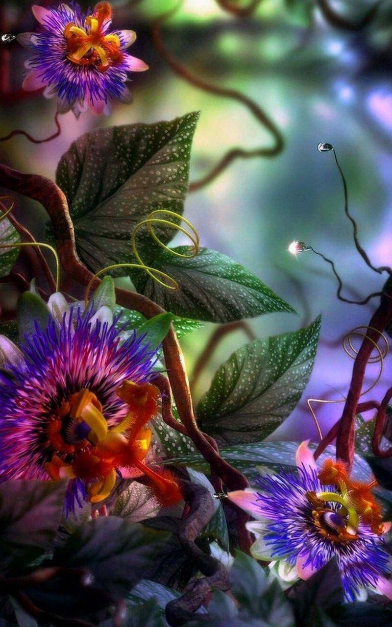 800x1280 3D Flower Wallpaper