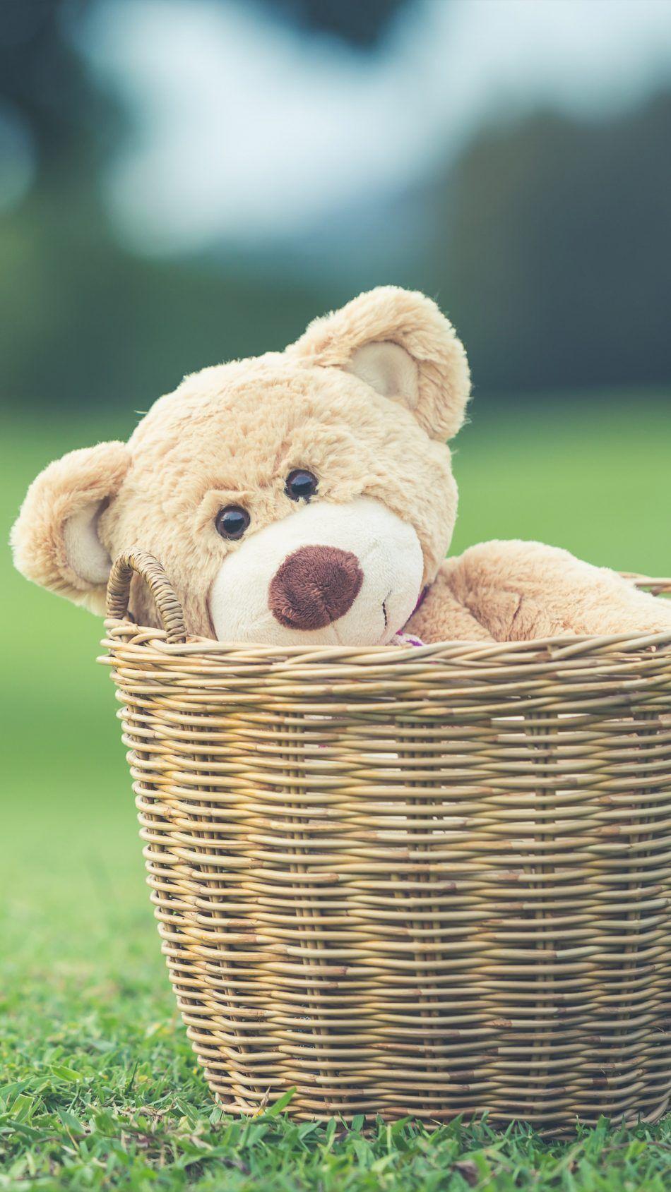 950x1689 Teddy Bear Basket Playground. Teddy bear, Bear wallpaper, Bear