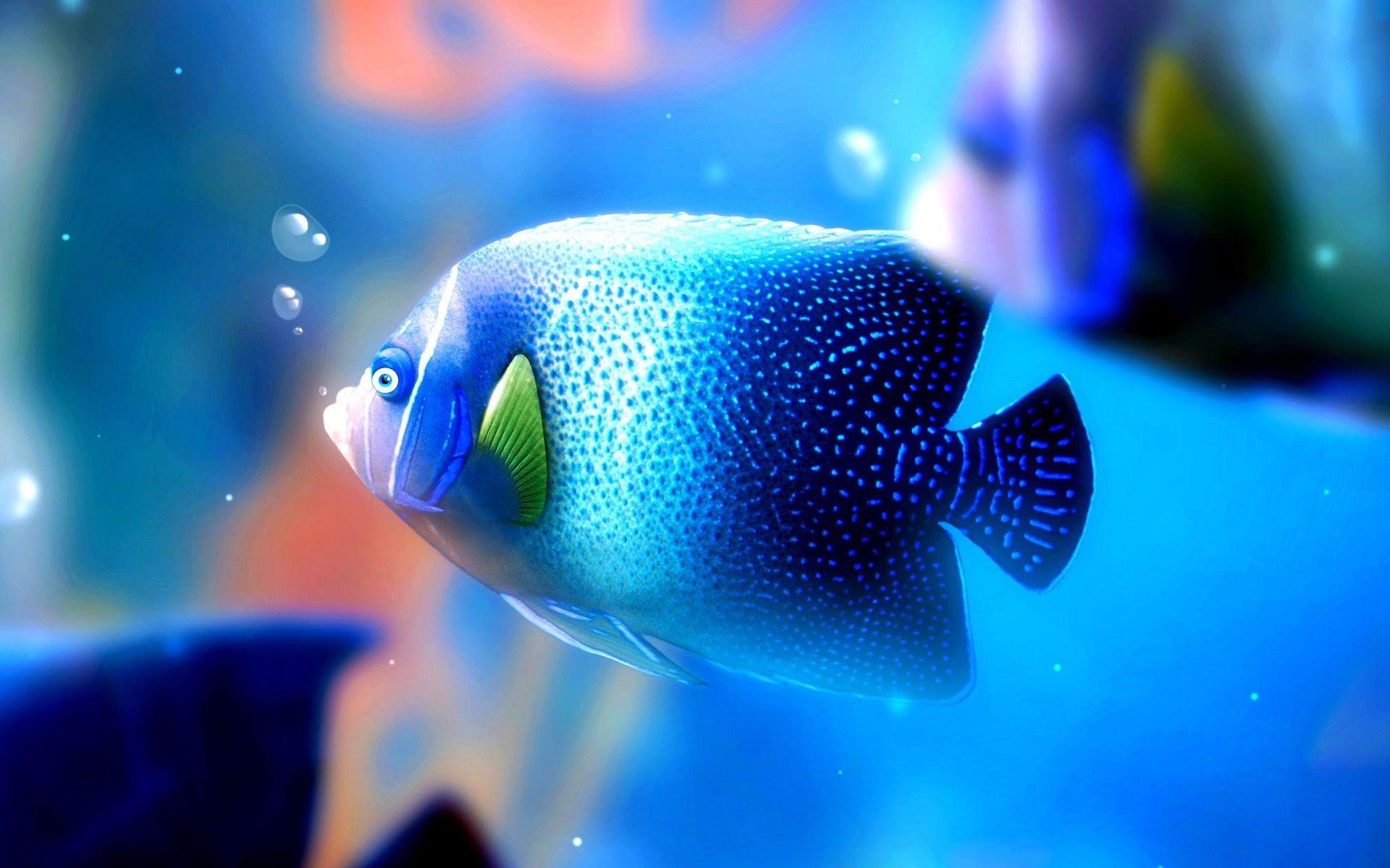 1920x1200 Water Desktop Fish Wallpaper Download - Top Background & Wallpaper