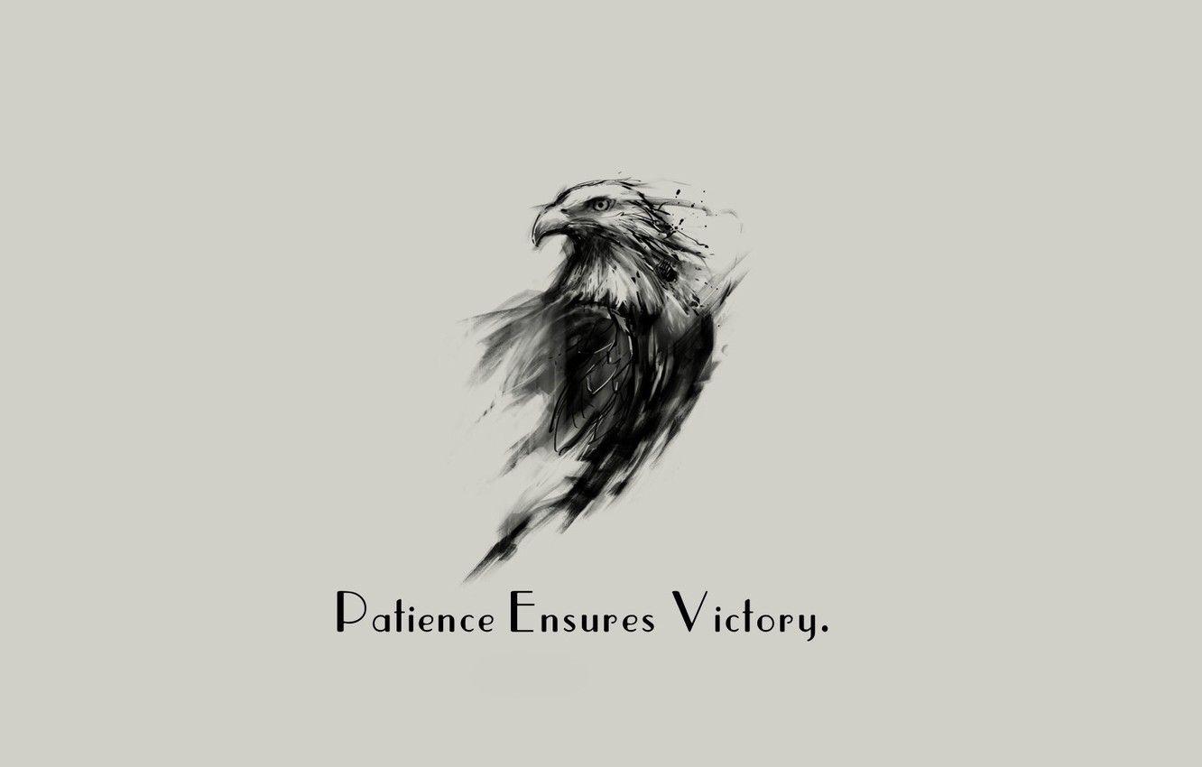 1332x850 Wallpaper Eagle, minimalism, background, Victory, quote, Patience