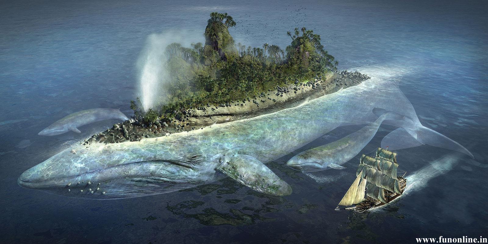1600x802 Blue Whale Wallpaper