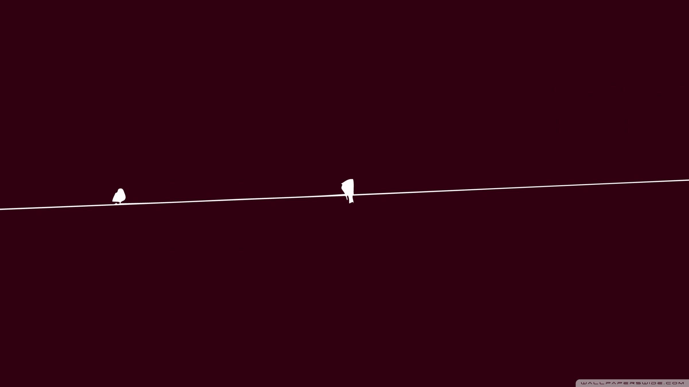 2400x1350 Bird on a Wire Movie Wallpaper