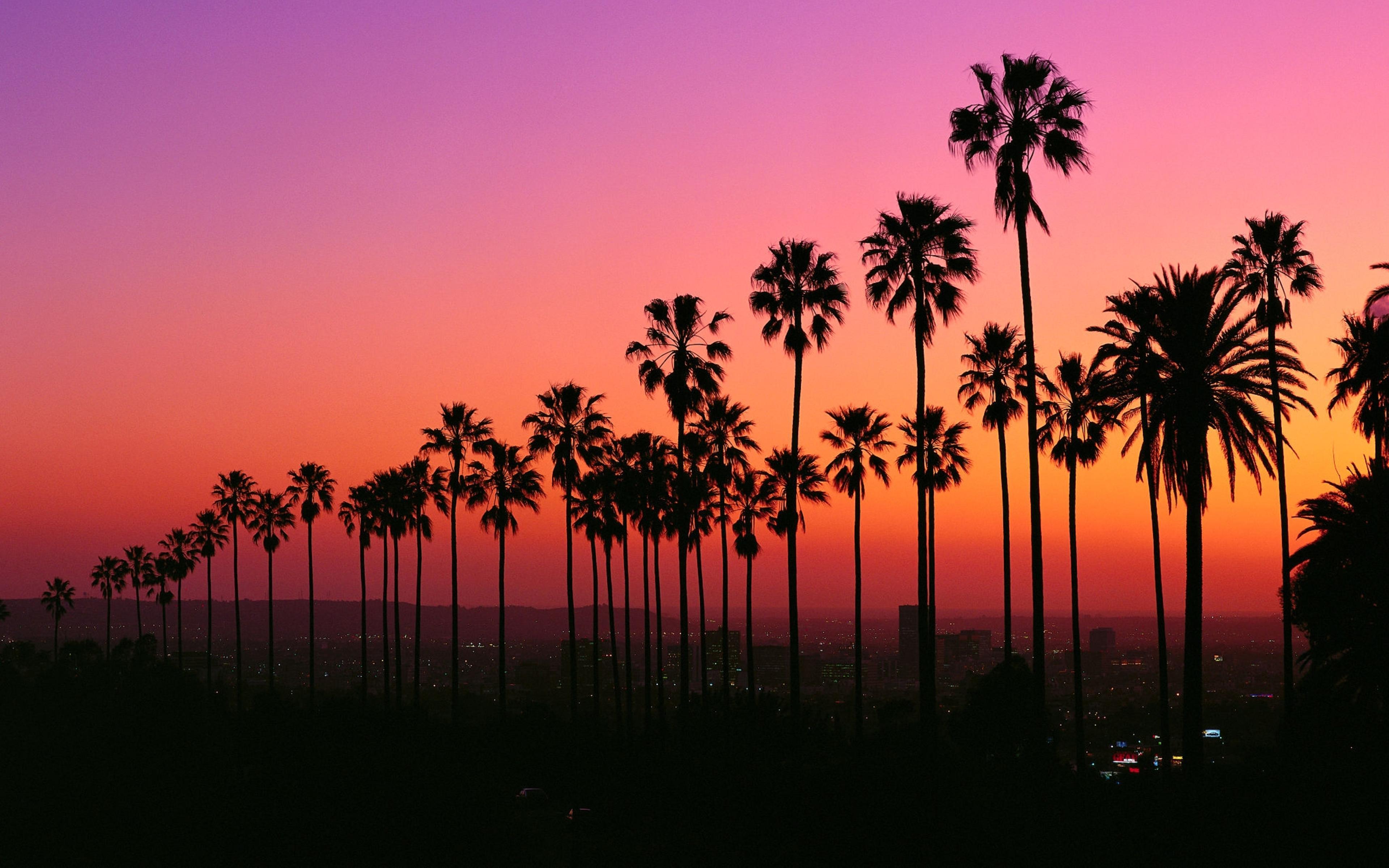 Los Angeles Sunset Wallpapers - Top Free Los Angeles Sunset Backgrounds ...