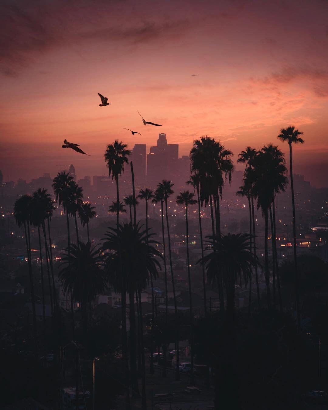 Los Angeles Sunset Wallpapers Top Free Los Angeles Sunset