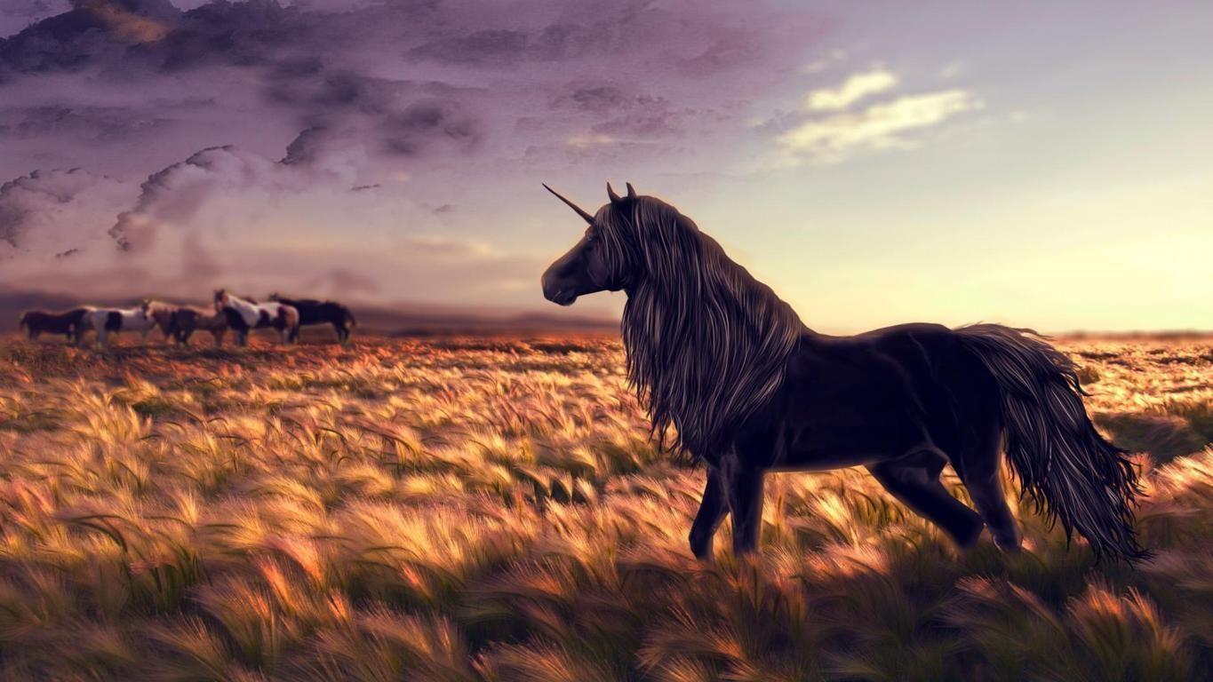 1365x768 Black unicorn desktop HD wallpaper. Unicorn wallpaper, Unicorn