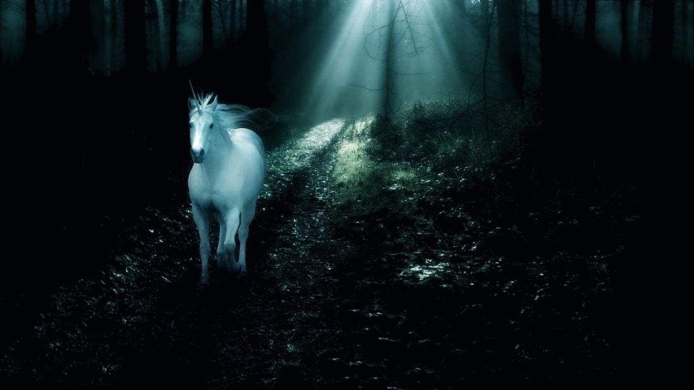 1366x768 Unicorn Wallpaper. Unicorn Wallpaper, Unicorn Emoji Wallpaper and Beautiful Unicorn Background