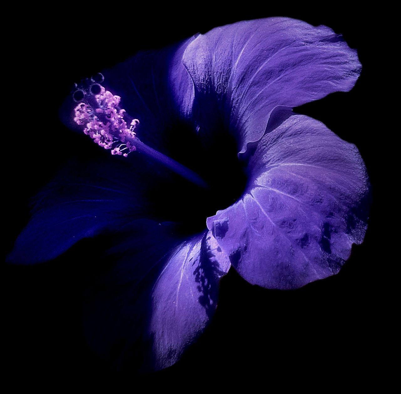 1280x1256 Best Free Wallpaper to Download