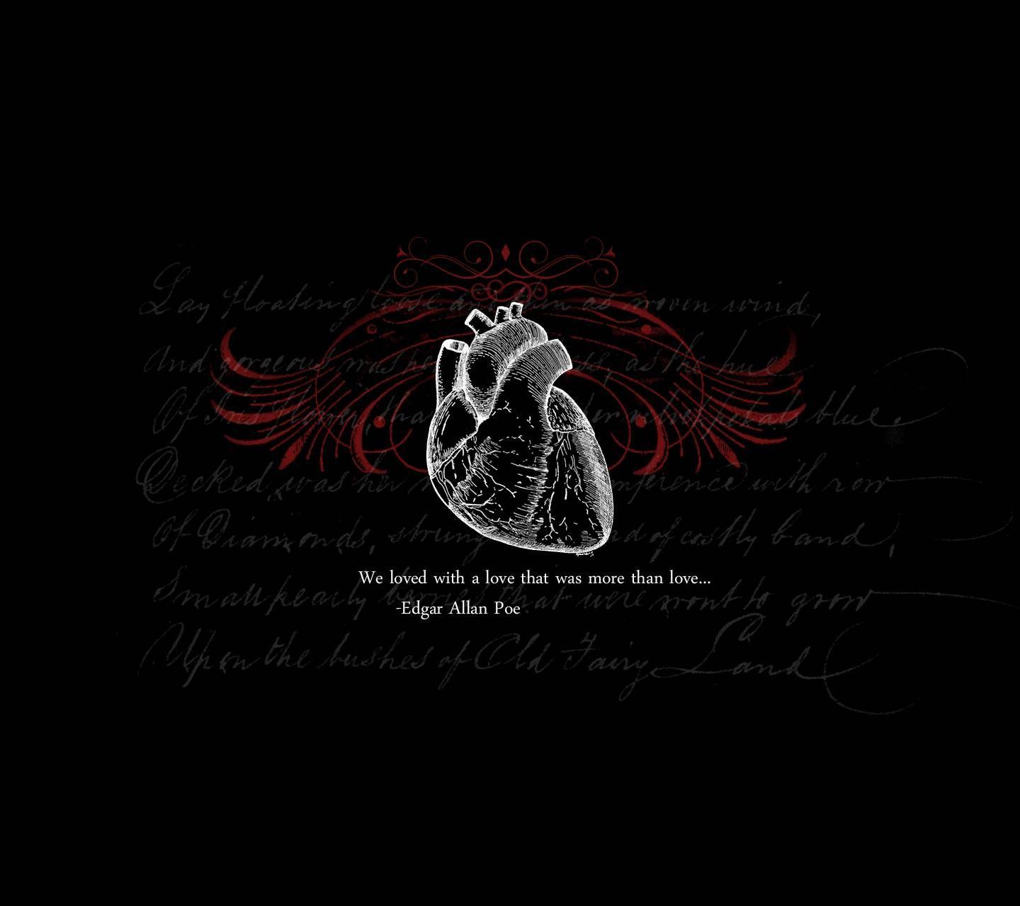 Download Anatomical Black And White Heart Wallpaper  Wallpaperscom