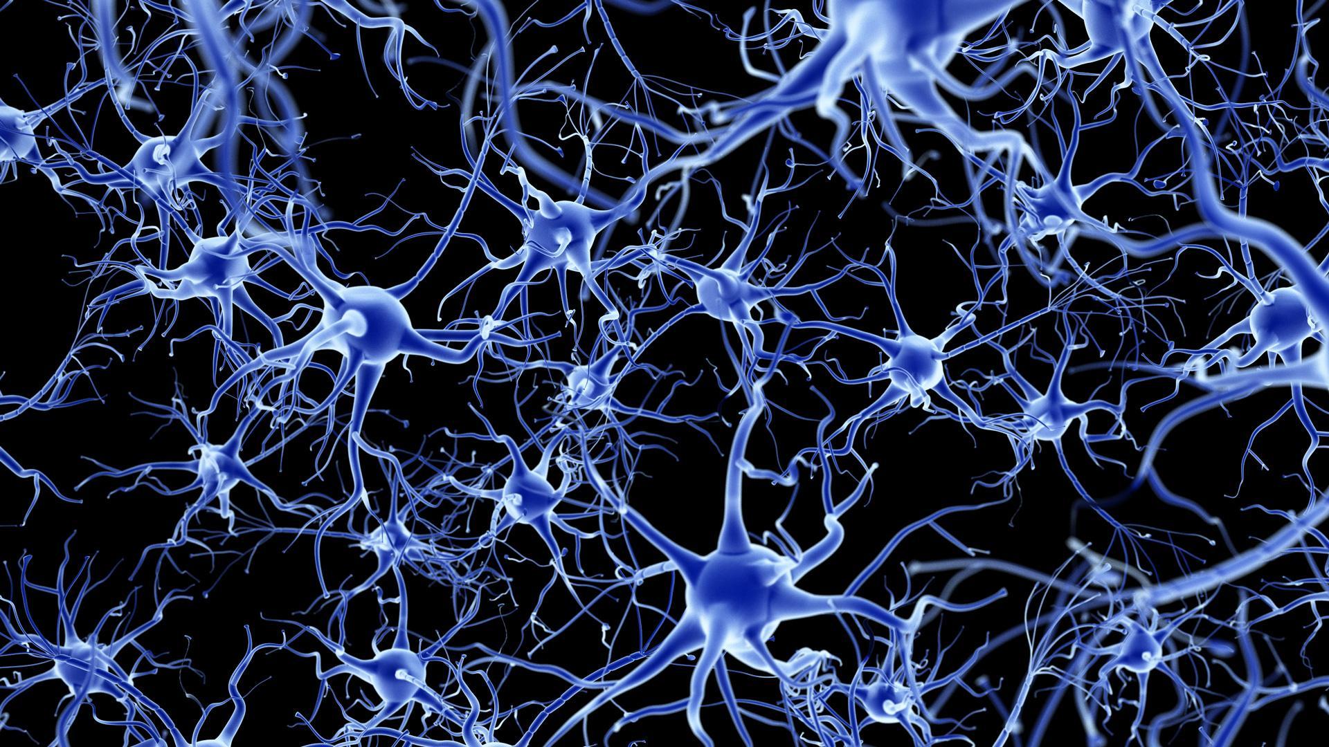 Neuro Wallpapers Top Free Neuro Backgrounds WallpaperAccess