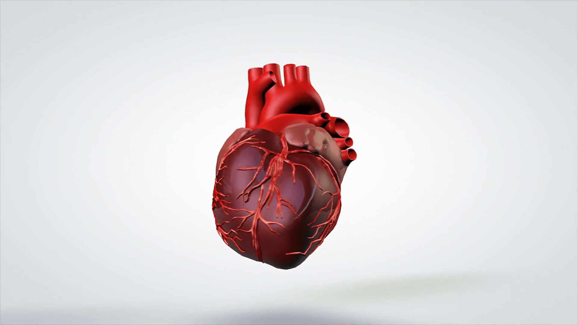 Anatomic Heart Hd Desktop Wallpaper