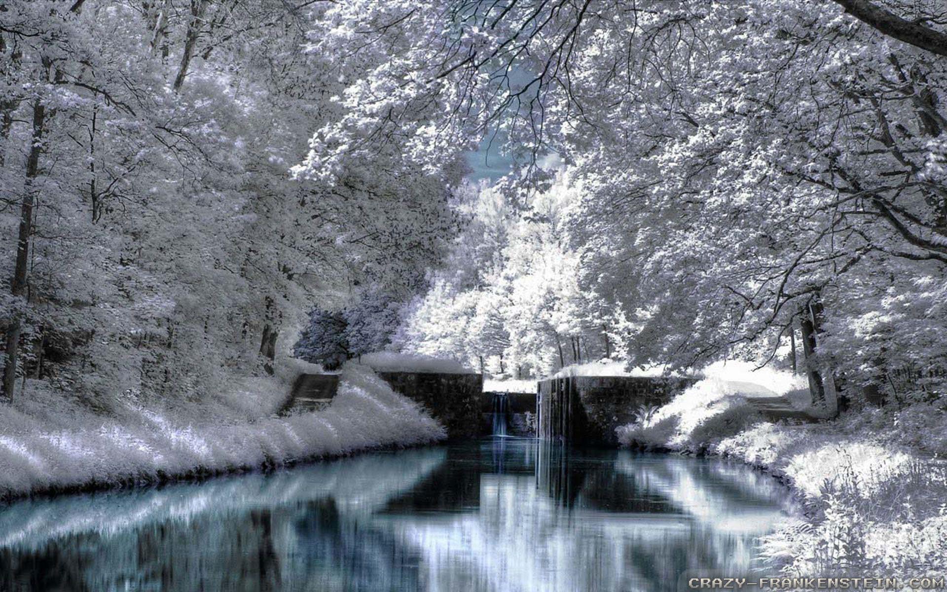 1920x1200 Winter Nature wallpaper 2