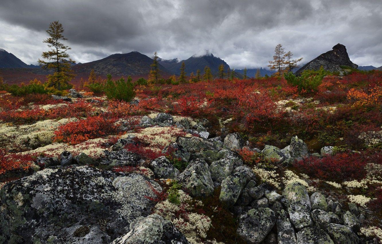 1332x850 Wallpaper autumn, the sky, leaves, mountains, stones, hills, ate