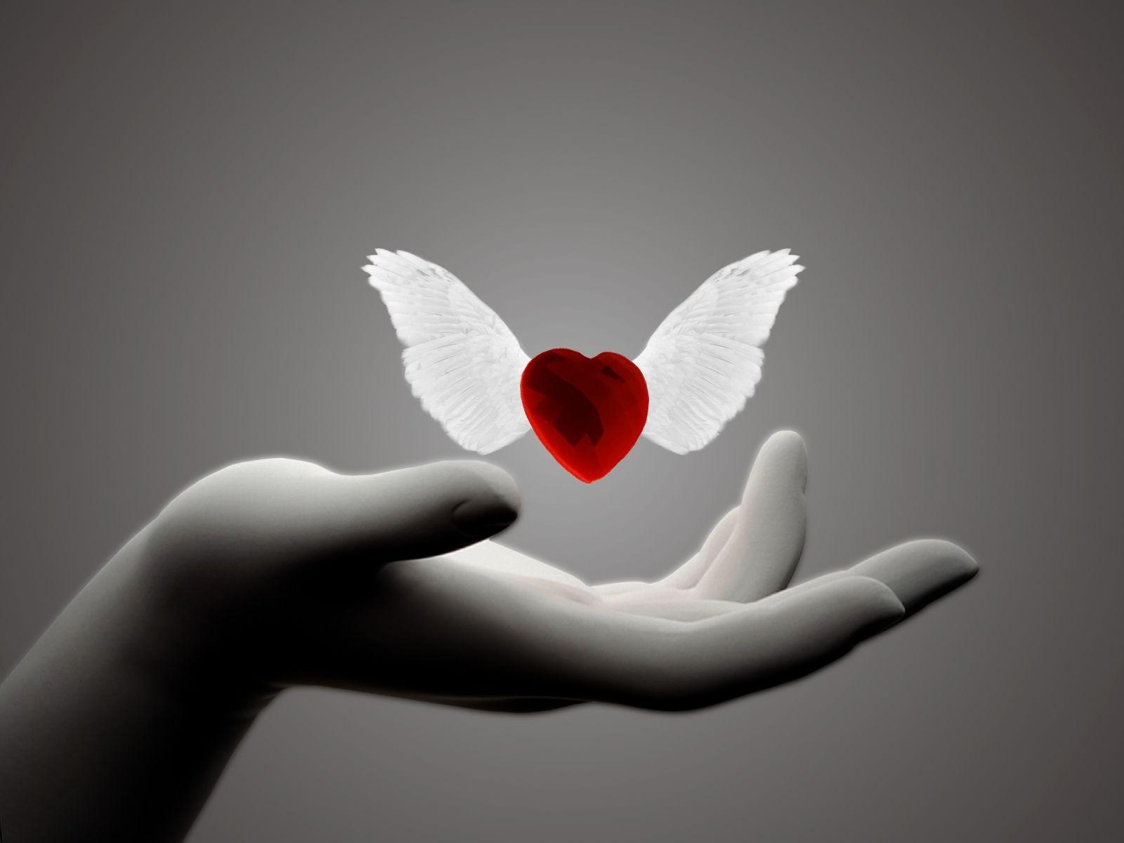 1600x1200 Love Wallpaper For iphone