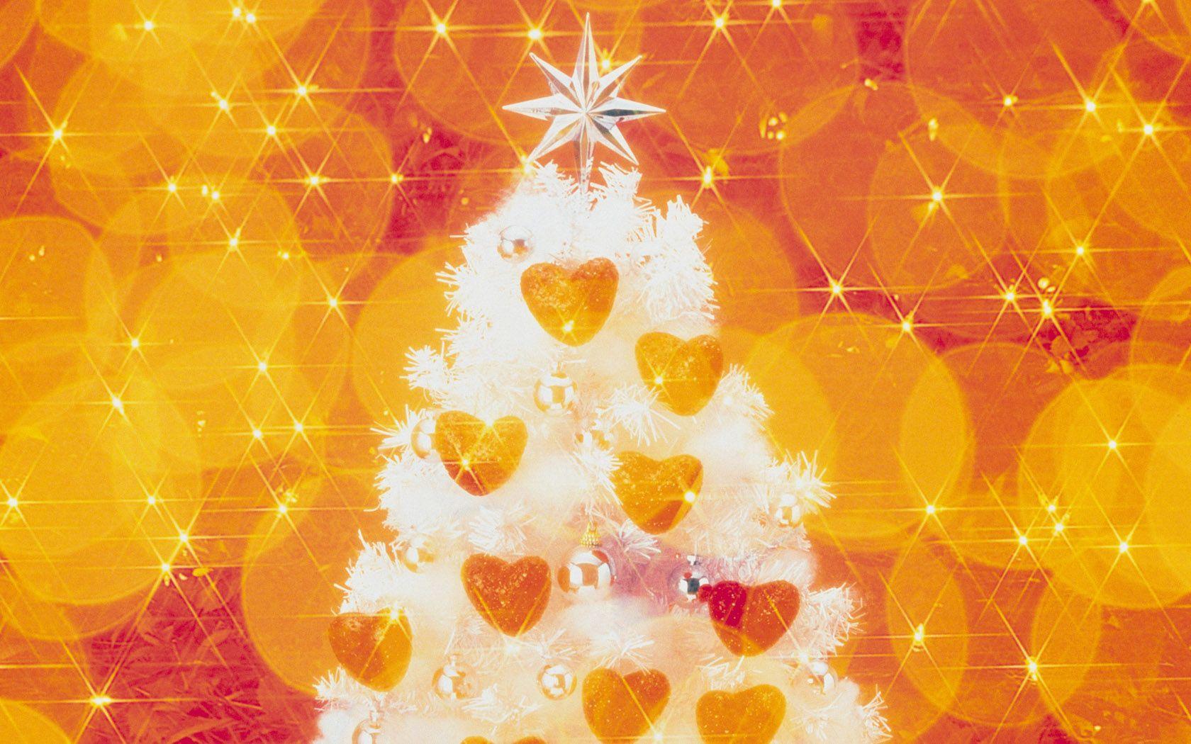 1680x1050 1680*1050 Widescreen Christmas Decoration Christmas