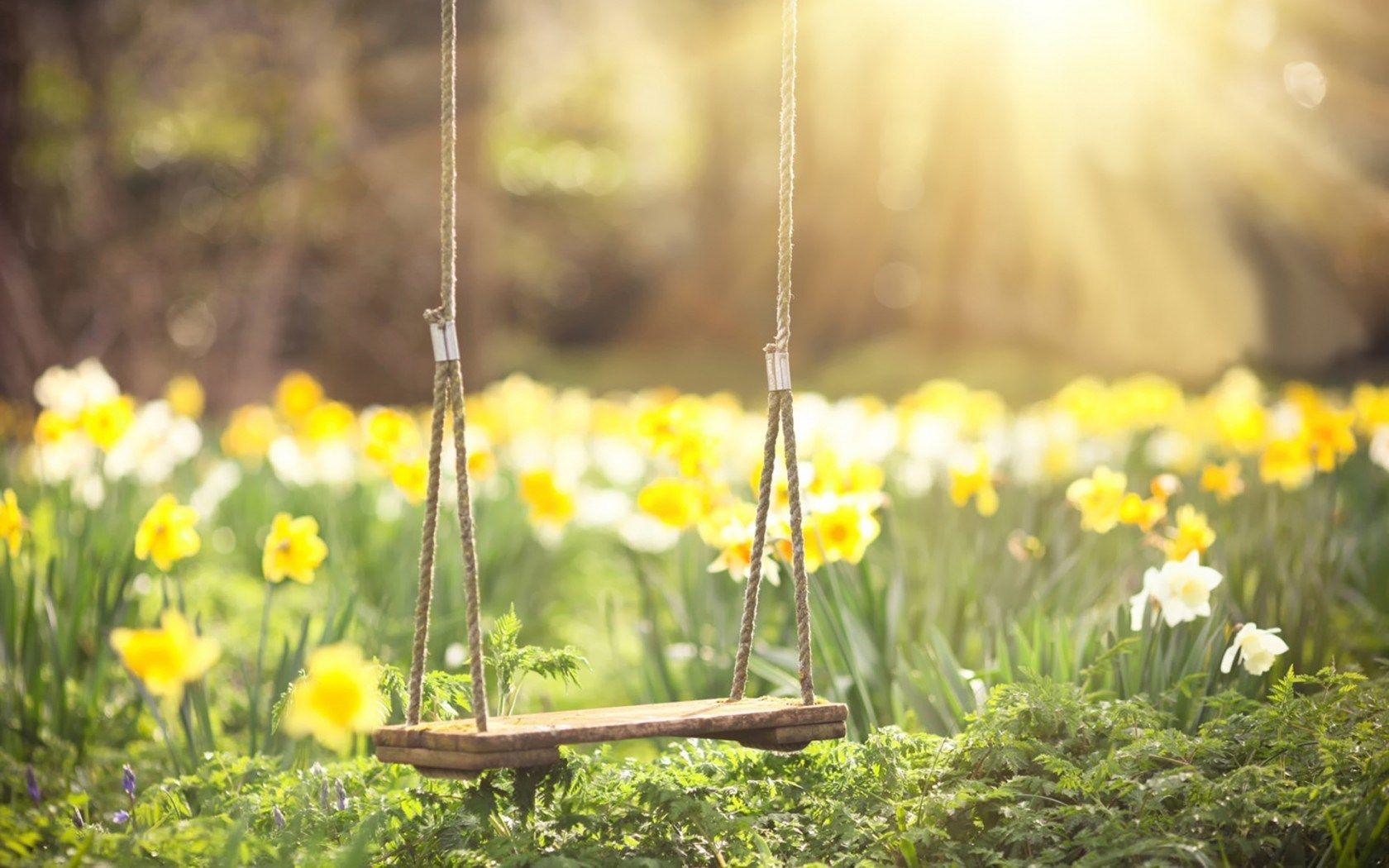 Swing Wallpapers - Top Free Swing Backgrounds - WallpaperAccess