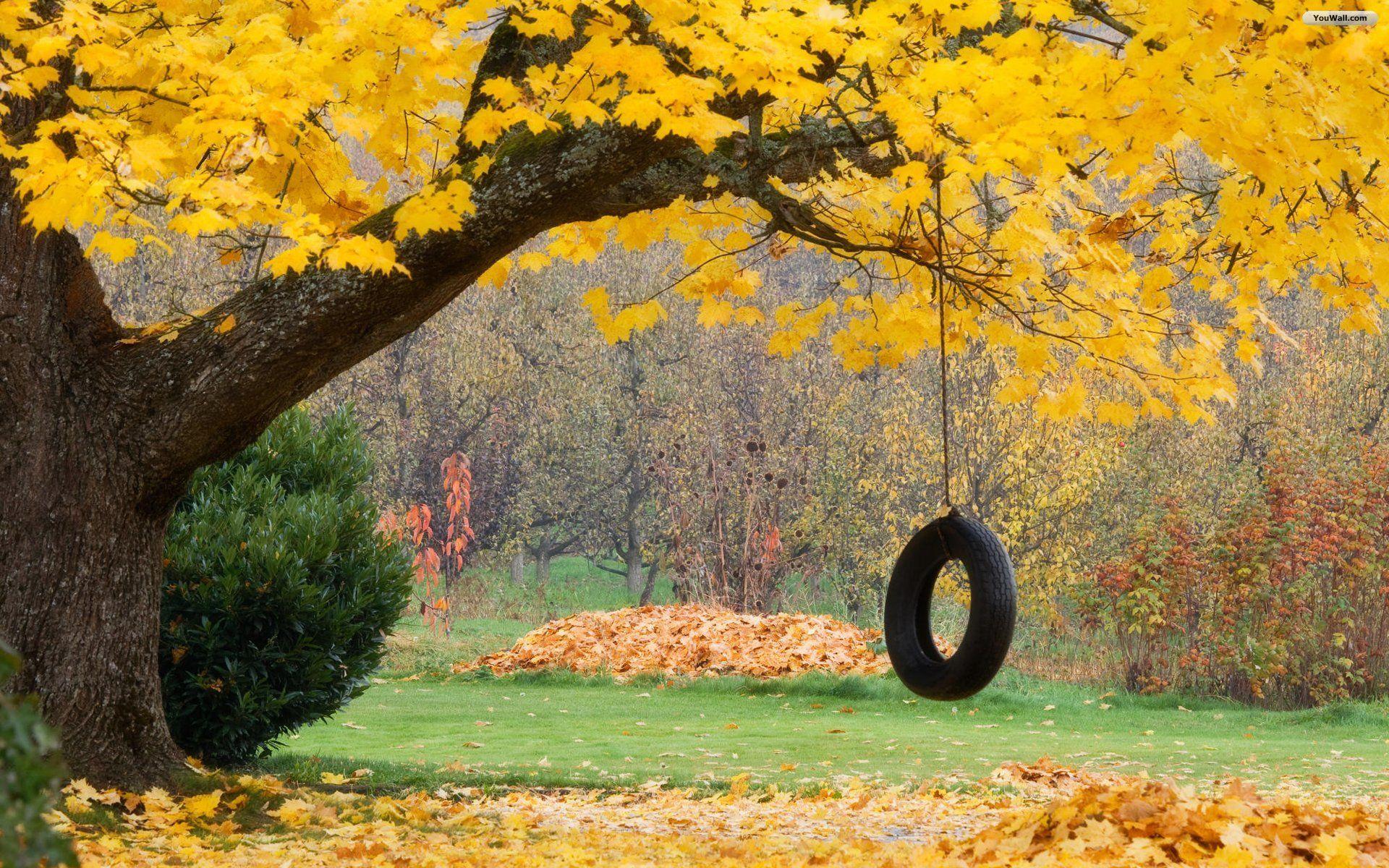 1920x1200 Autumn Rope Swing