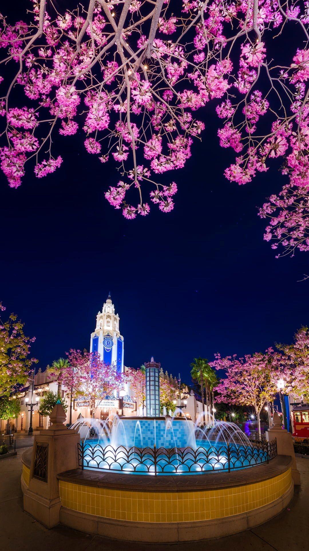 1080x1920 Disneyland Wallpaper Fresh Free Disney iPhone Wallpaper Disney