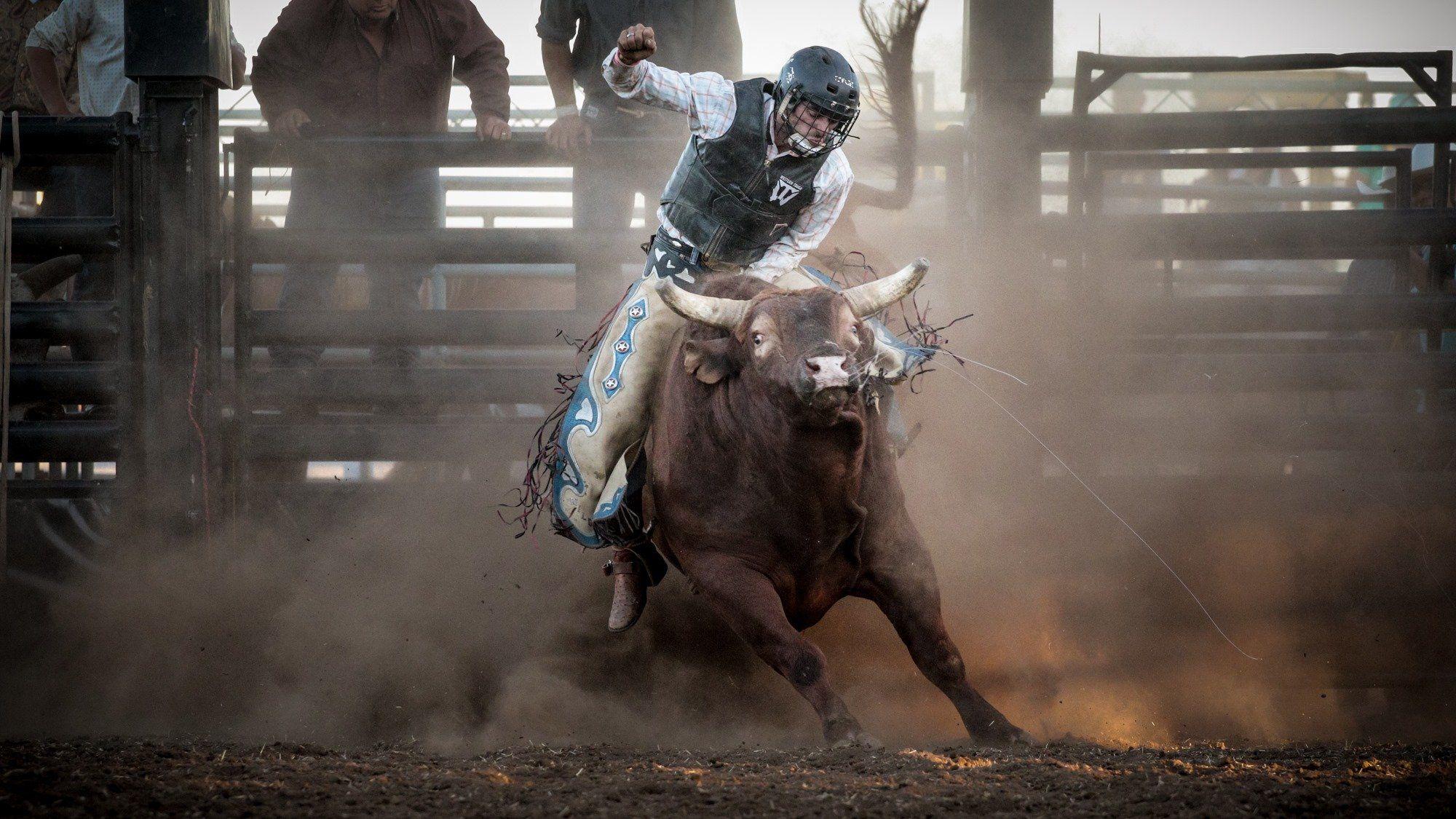 2000x1125 bull, Riding, Bullrider, Cowboy, Western, Cow, Extreme, Bull