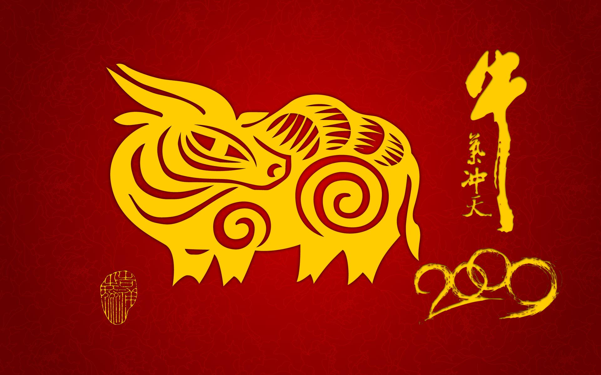 1920x1200 Bull wallpaper 7832
