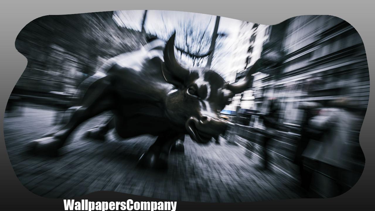 1280x720 Bull Wallpaper for Android