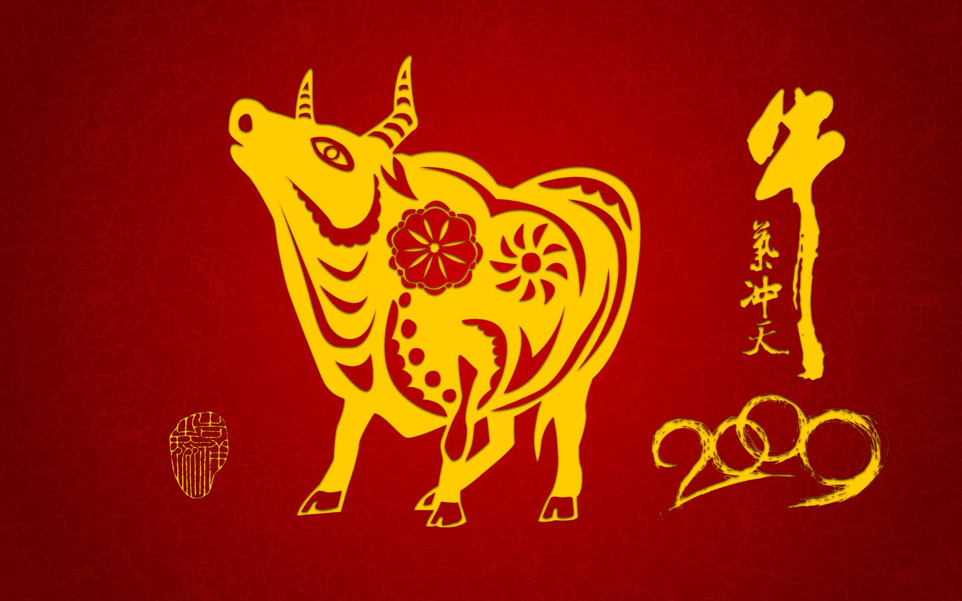 1920x1200 Bull wallpaper 6504