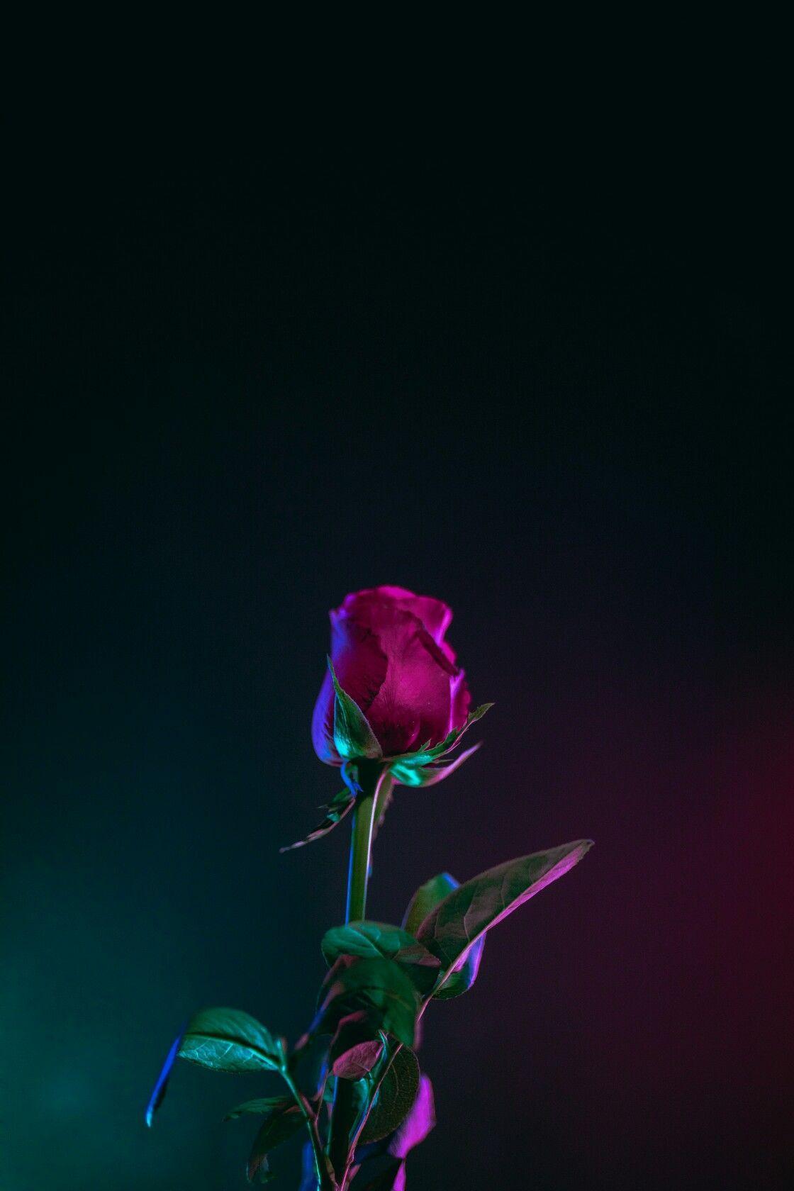 1120x1680 Drugs Aesthetic Wallpaper