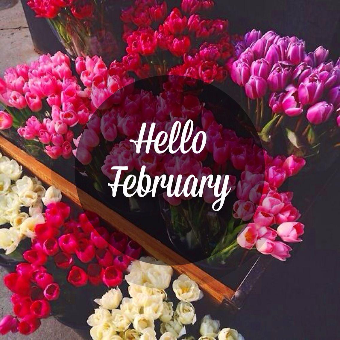 15 Phone Wallpaper Quotes February