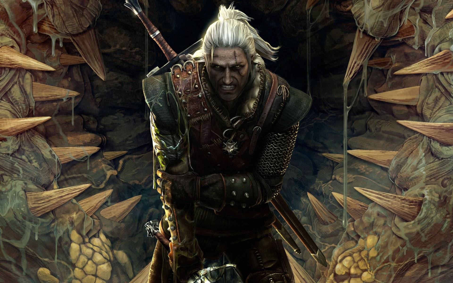 1920x1200 Witcher 2 Wallpaper in full 1080P HD