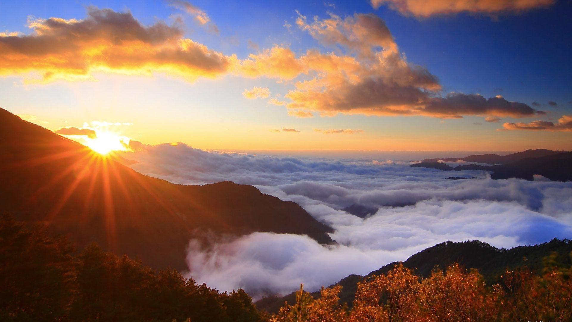a breathtaking desktop wallpaper featuring a majestic eagle soaring through  a mountain range at sunrise --
