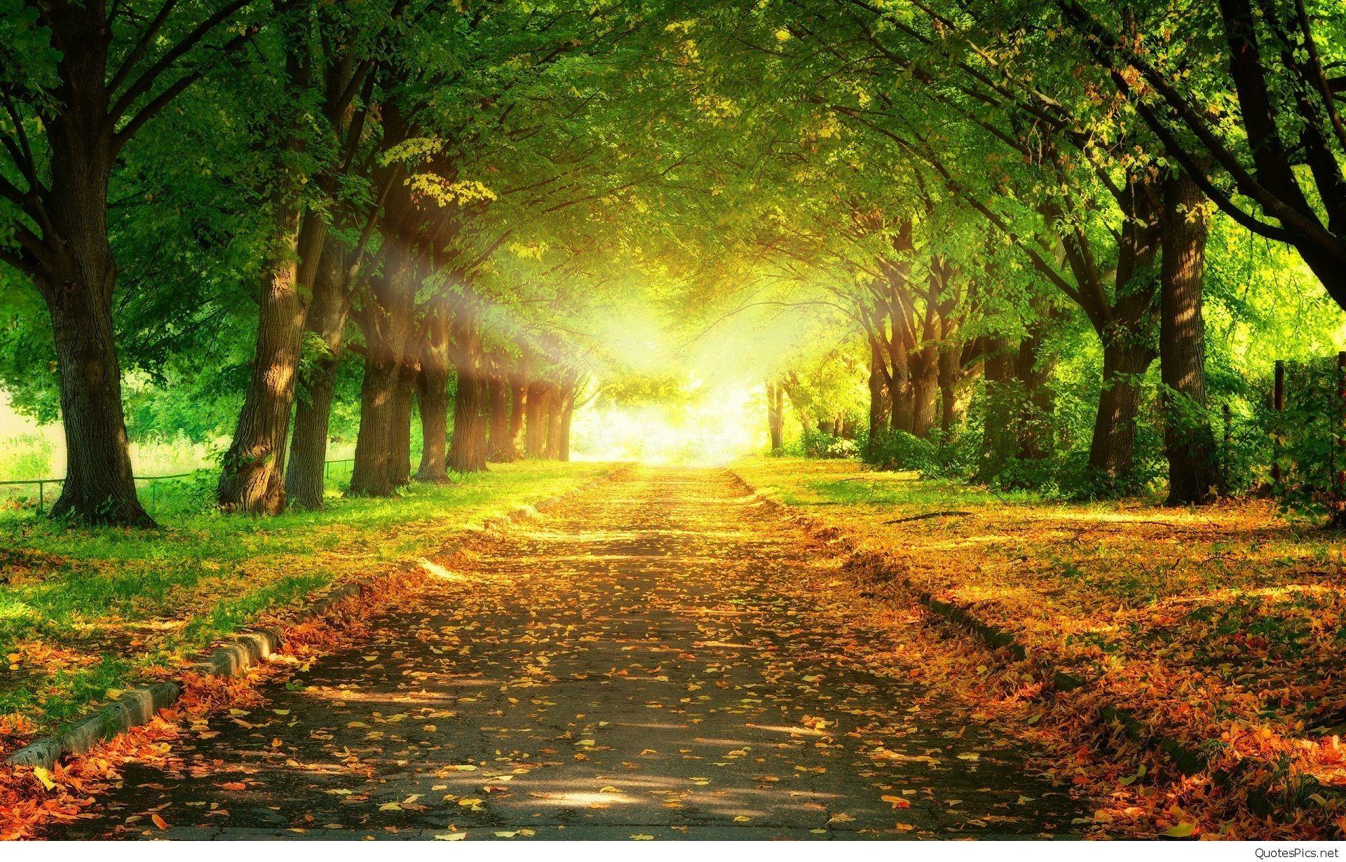 1920x1230 Beautiful Sunrise Wallpaper