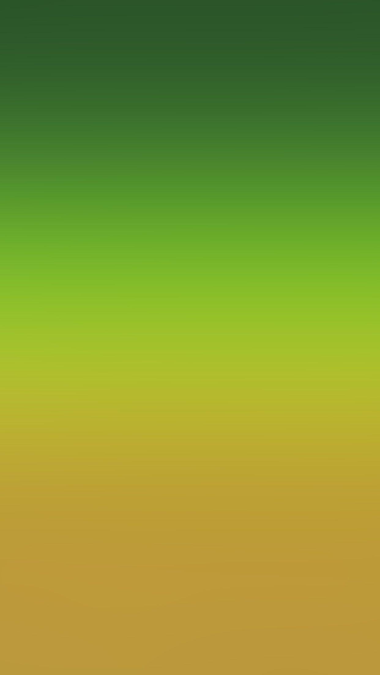 1242x2208 iPhone 6 Wallpaper brazil yellow green gradation blur