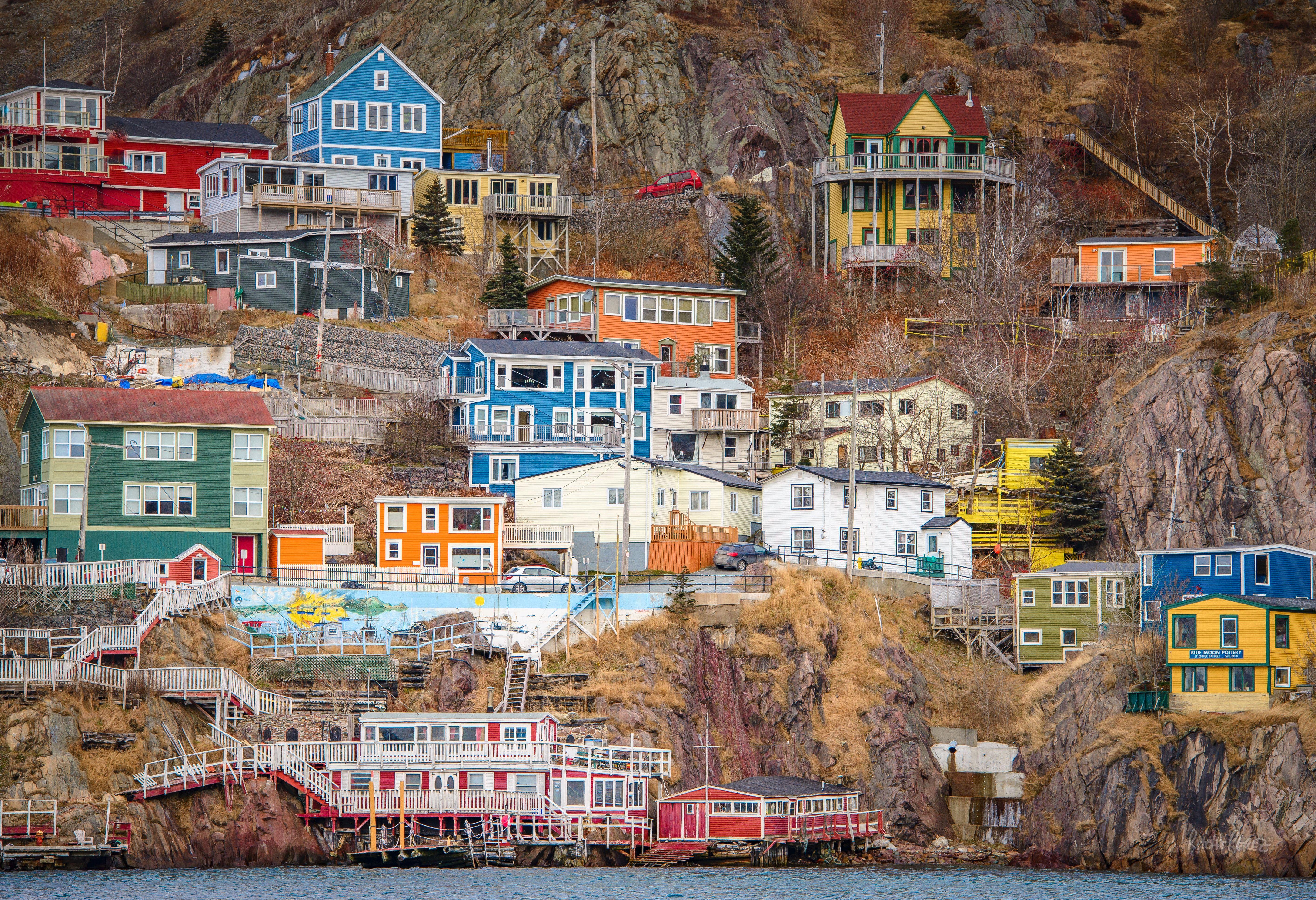 newfoundland-wallpapers-top-free-newfoundland-backgrounds