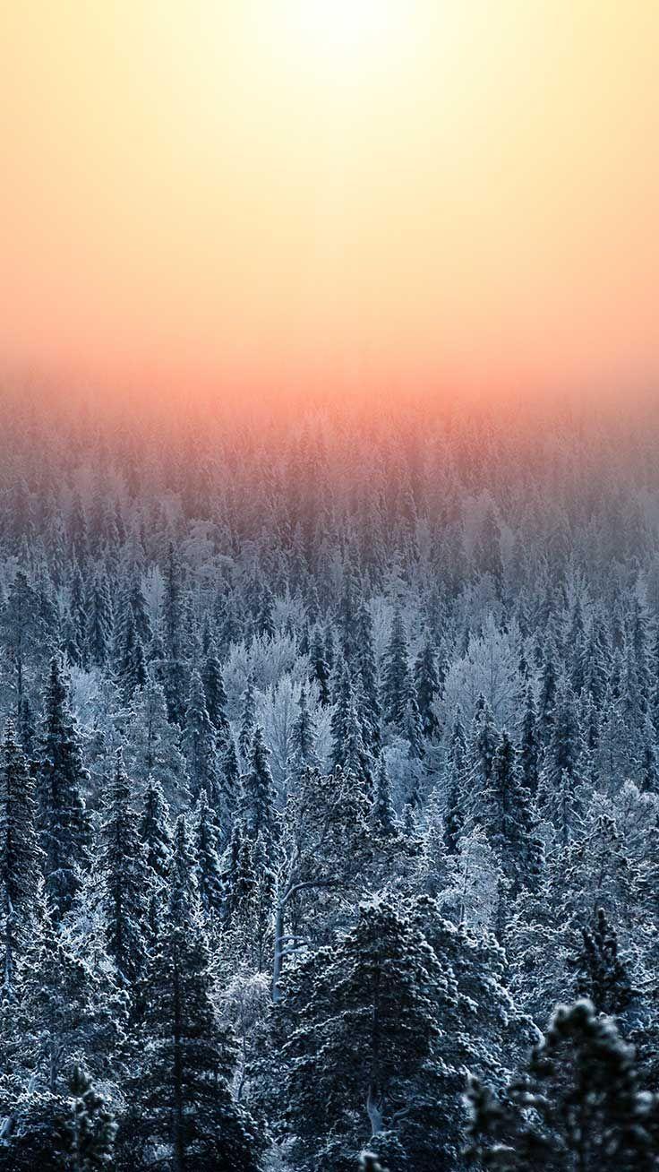 736x1308 iPhone wallpaper : 10 Wonderful Winter World iPhone X Wallpaper