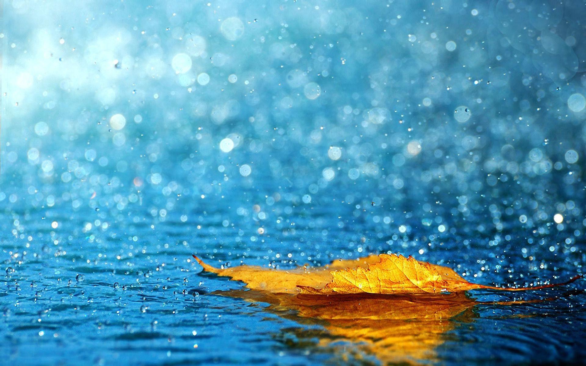 1920x1200 Seasons Wallpaper