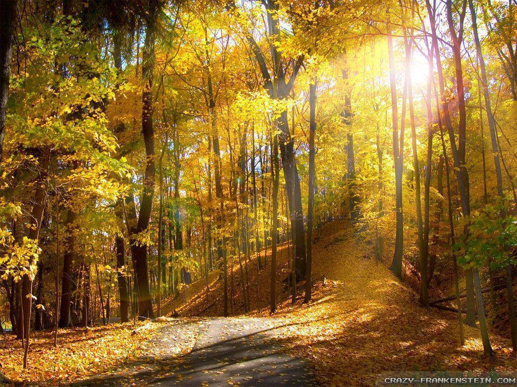 1024x768 Free Seasonal Desktop Wallpaper