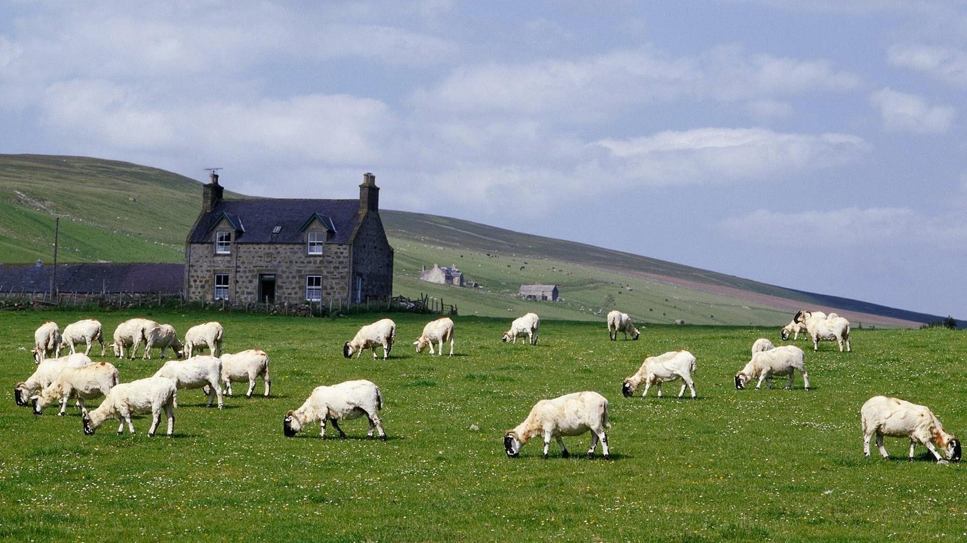 1920x1080 HD Farm Wallpaper