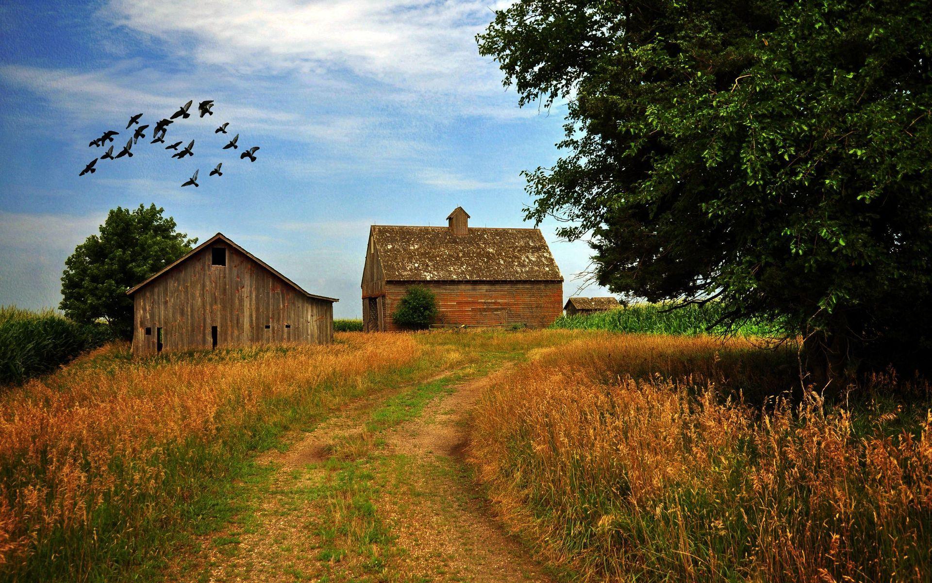 1920x1200 Farmhouse Wallpaper
