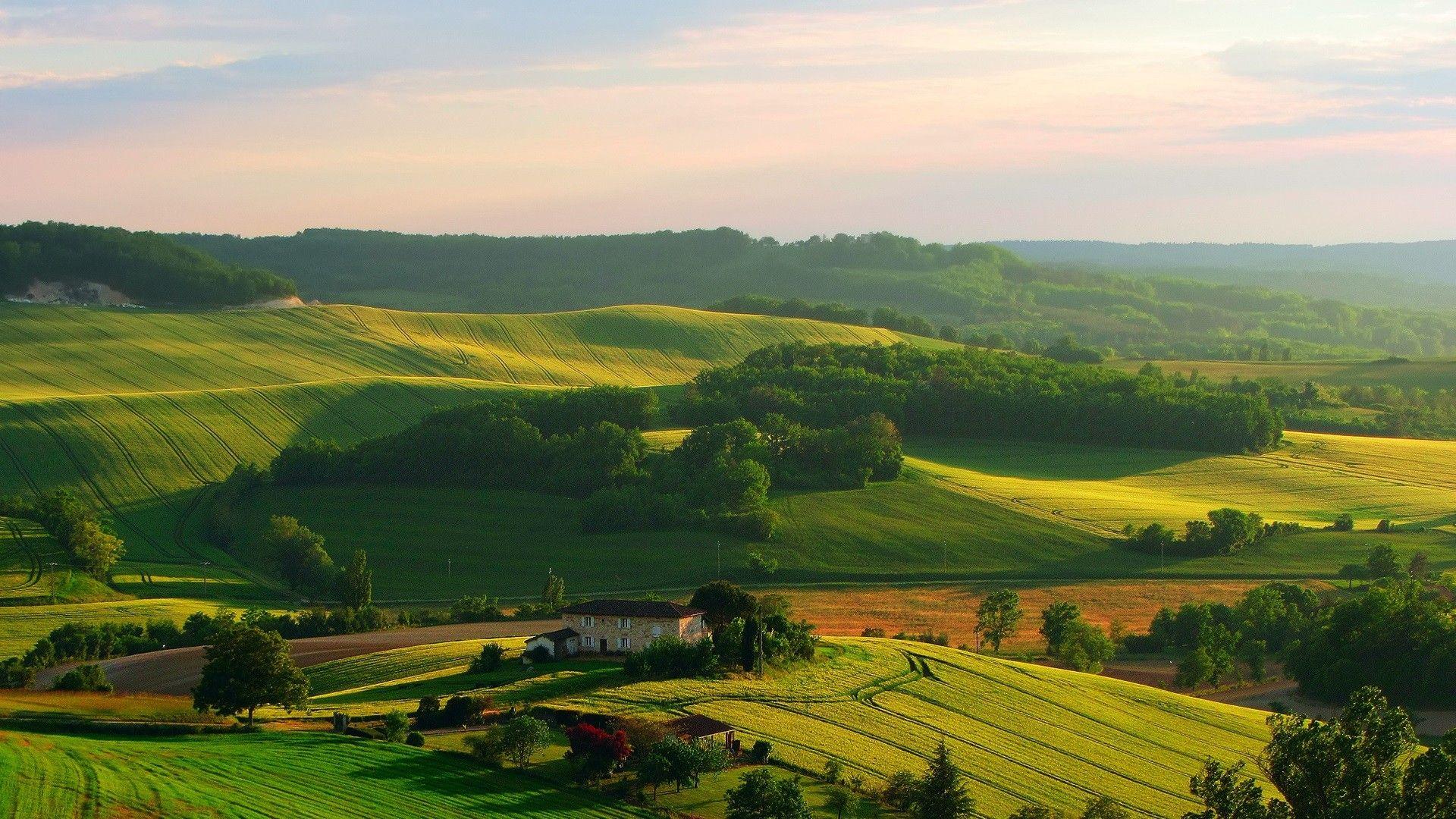 1920x1080 #trees, #Italy, #landscape, #hills, #Tuscany, #sunlight
